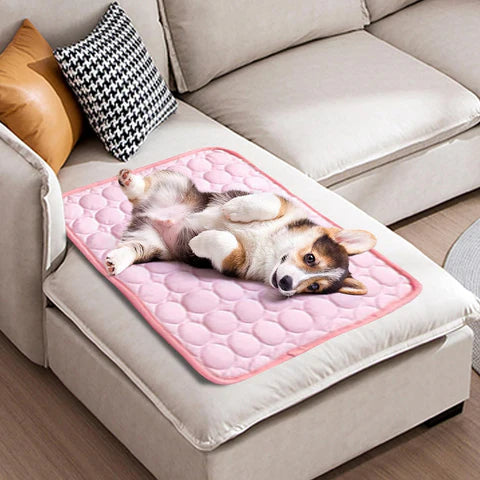 FrostPaw™ – De #1 oplossing tegen hittestress bij honden