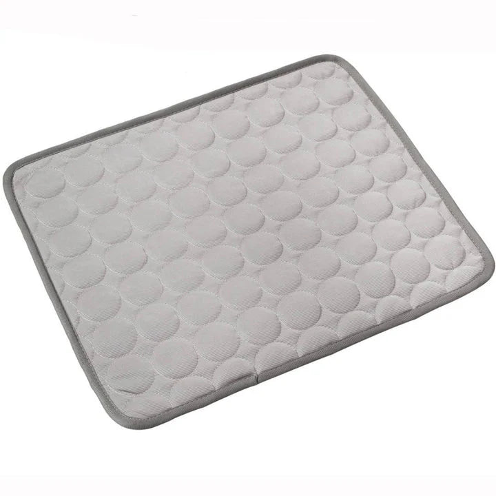 FrostPaw™ – De #1 oplossing tegen hittestress bij honden