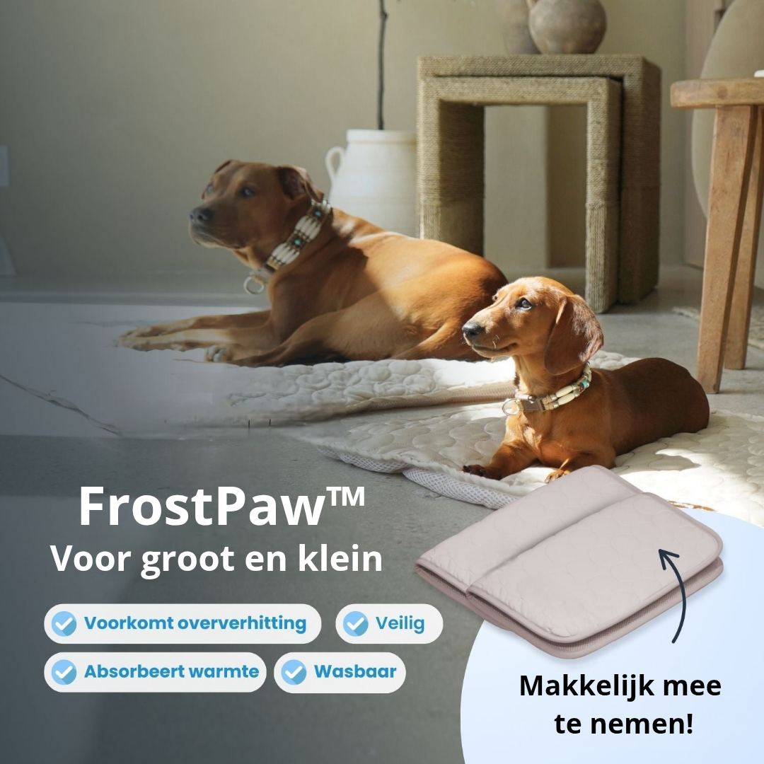 FrostPaw™ – De #1 oplossing tegen hittestress bij honden
