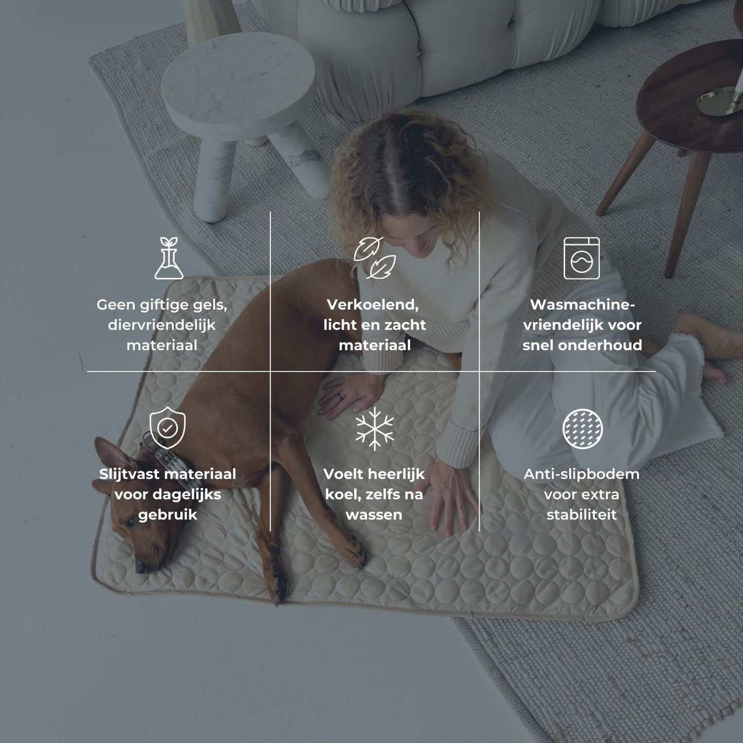 FrostPaw™ – De #1 oplossing tegen hittestress bij honden