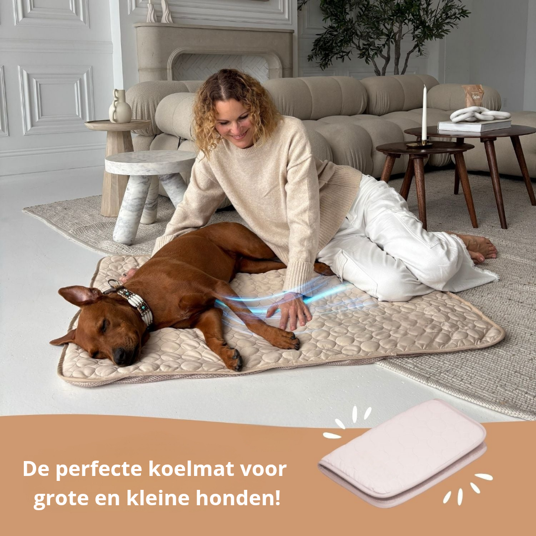 FrostPaw™ – De #1 oplossing tegen hittestress bij honden