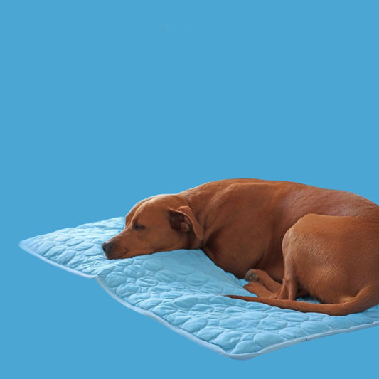 FrostPaw™ – De #1 oplossing tegen hittestress bij honden