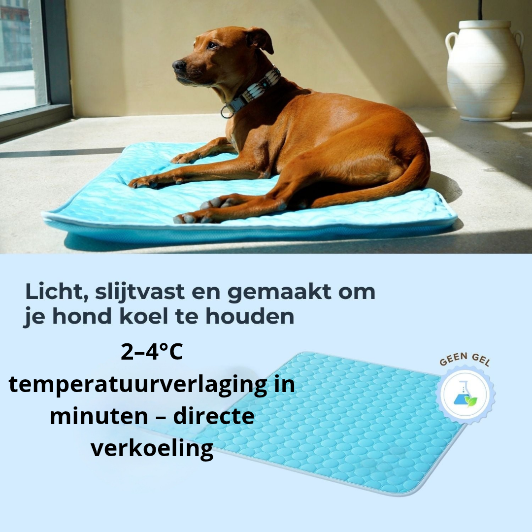 FrostPaw™ – De #1 oplossing tegen hittestress bij honden