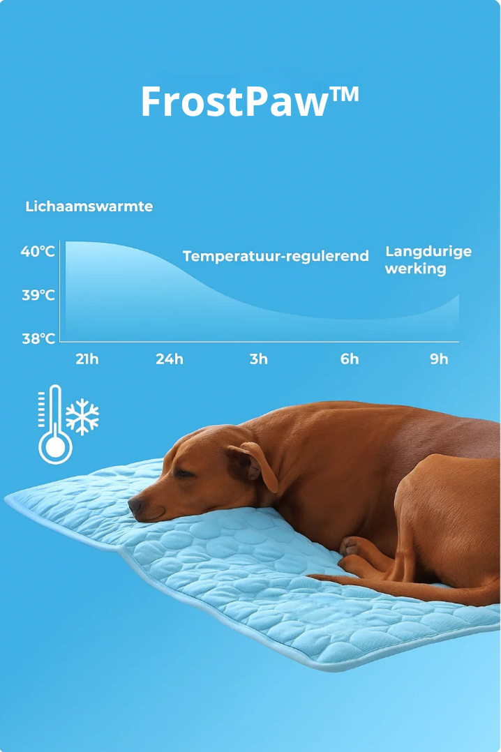 FrostPaw™ – De #1 oplossing tegen hittestress bij honden