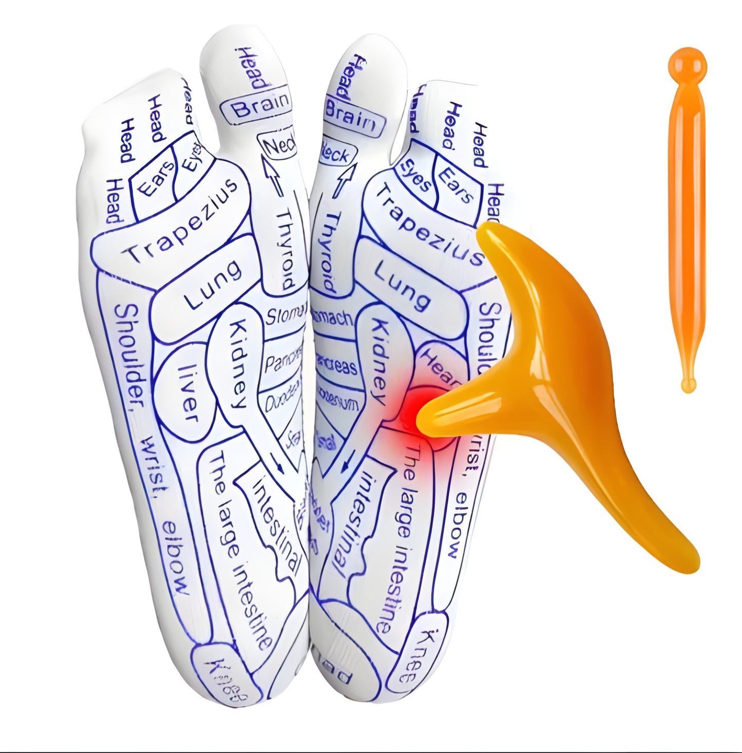 SoleMap™ – Stimuleer uw welzijn via voetreflexzones